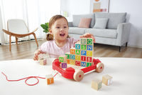 Hape Trainabile Con Blocchi