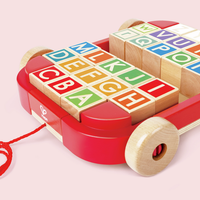 Hape Trainabile Con Blocchi