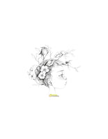 Avenue Mandarine Album Da Colorare Coloriage Wild 3