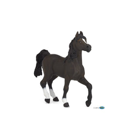 Papo Cavallo Arabo 51505